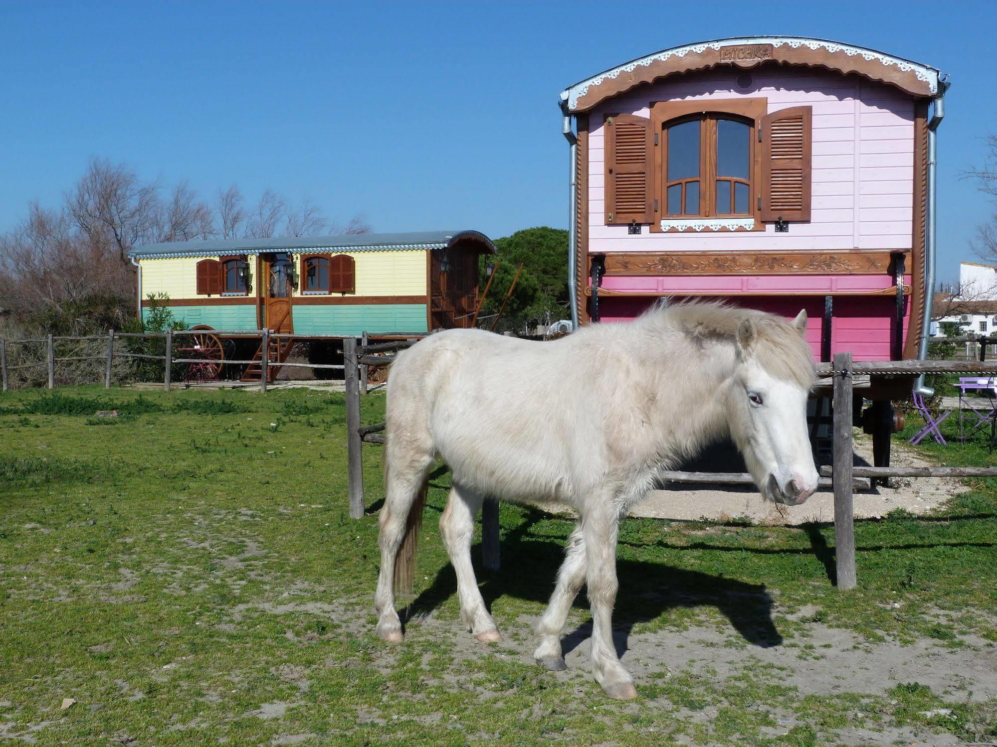 Mas De Calabrun Hotel Saintes-Maries-de-la-Mer
